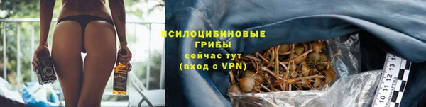 трава Вязьма