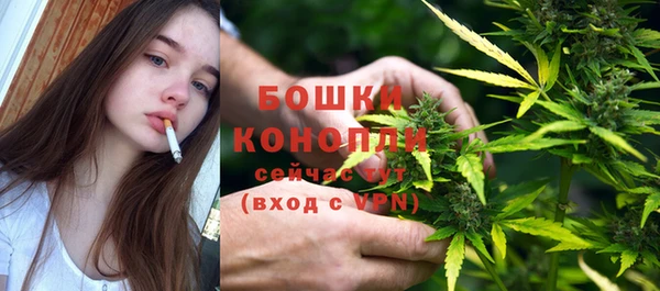 СК Вяземский