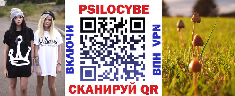 Купить  Козьмодемьянск  Псилоцибиновые грибы GOLDEN TEACHER 